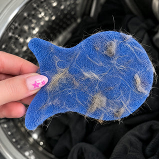 RosyIron laundry fish covered in dog hair and lint after a wash cycle