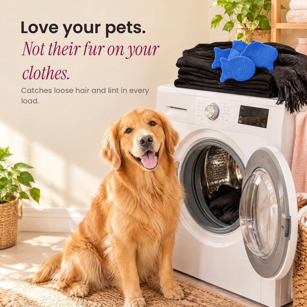RosyIron pet hair fish on freshly washed black laundry next to a golden retriever